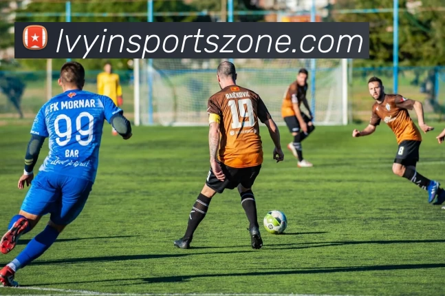 绿茵球迷社区服务体系